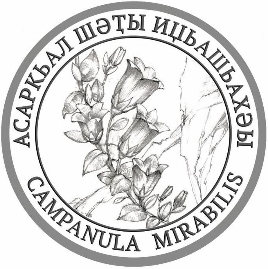 Campanula-mir.jpg