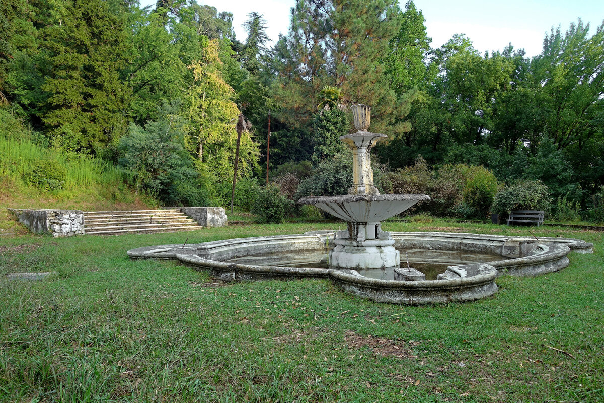 scale_1200.jpg