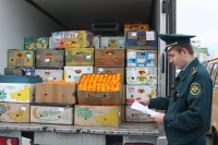 В РОССИЮ ИЗ АБХАЗИИ ИМПОРТИРОВАНО ПОРЯДКА 35 ТЫСЯЧ ТОНН МАНДАРИНОВ