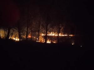 ВОЗГОРАНИЕ СУХОСТОЯ В СЕЛАХ