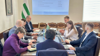 РАЗРАБАТЫВАЕТСЯ ПЛАН ПОЭТАПНОЙ МОДЕРНИЗАЦИИ НАЛОГОВОЙ СИСТЕМЫ АБХАЗИИ