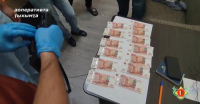 РАСКРЫТО ПРЕСТУПЛЕНИЕ, ИМЕВШЕЕ МЕСТО В ЦЕНТРАЛЬНОМ ГАГРСКОМ ПАРКЕ