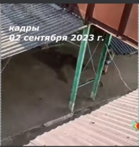 РАСПРОСТРАНЯЕМЫЕ В СОЦИАЛЬНЫХ СЕТЯХ КАДРЫ НЕ СООТВЕТСТВУЮТ ДЕЙСТВИТЕЛЬНОСТИ