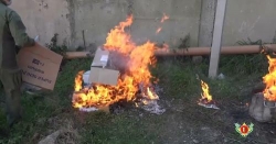 УНИЧТОЖЕНИЕ НАРКОТИЧЕСКИХ СРЕДСТВ, ПСИХОТРОПНЫХ ВЕЩЕСТВ И НАРКОСОДЕРЖАЩИХ РАСТЕНИЙ