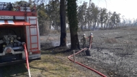 ПРИРОДНЫЕ ПОЖАРЫ В ОЧАМЧЫРСКОМ РАЙОНЕ