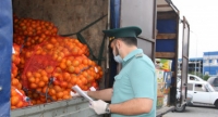 &laquo;МАНДАРИНОВЫЙ СЕЗОН&raquo;: РОСТ ТОВАРОПОТОКА