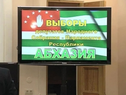 ПАРТИЯ ЭКОНОМИЧЕСКОГО РАЗВИТИЯ АБХАЗИИ ВЫСТУПАЕТ ЗА ПРОПОРЦИОНАЛЬНУЮ СИСТЕМУ ВЫБОРОВ ДЕПУТАТОВ ПАРЛАМЕНТА