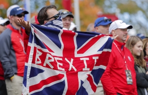 ВЫСОКИЙ СУД ЛОНДОНА ЗАЯВИЛ О НЕВОЗМОЖНОСТИ BREXIT БЕЗ РЕШЕНИЯ ПАРЛАМЕНТА