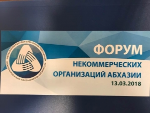 НЕКОММЕРЧЕСКИЕ ОРГАНИЗАЦИИ АБХАЗИИ ВЫСТУПАЮТ ЗА ПЛОДОТВОРНОЕ СОТРУДНИЧЕСТВО С ВЛАСТЯМИ