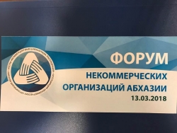 НЕКОММЕРЧЕСКИЕ ОРГАНИЗАЦИИ АБХАЗИИ ВЫСТУПАЮТ ЗА ПЛОДОТВОРНОЕ СОТРУДНИЧЕСТВО С ВЛАСТЯМИ