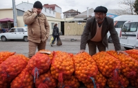 ПУТЬ МАНДАРИНА: КАК ДОРОЖАЮТ АБХАЗСКИЕ ФРУКТЫ ПО ДОРОГЕ В МОСКВУ