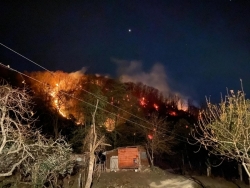 ГОРИТ ЛЕС В ГАГРСКОМ И ГУДАУТСКОМ РАЙОНАХ