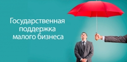 ЗАКОНОПРОЕКТ &laquo;О ГОСУДАРСТВЕННОЙ ПОДДЕРЖКЕ МАЛОГО И СРЕДНЕГО ПРЕДПРИНИМАТЕЛЬСТВА&raquo; ПРИНЯТ В ПЕРВОМ ЧТЕНИИ