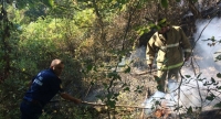 ПОЖАРНИКИ ЛОКАЛИЗОВАЛИ ОЧАГИ ПОЖАРА, ВОЗНИКШЕГО В СОСНОВОЙ РОЩЕ НА УНИВЕРСИТЕТСКОЙ УЛИЦЕ В СУХУМЕ