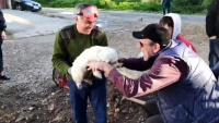 СПАСЛИ ЩЕНКА