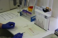 ОБЩЕЕ ЧИСЛО ВЫЯВЛЕННЫХ ЗАБОЛЕВШИХ КОРОНАВИРУСОМ В АБХАЗИИ СОСТАВЛЯЕТ 13600 ЧЕЛОВЕК