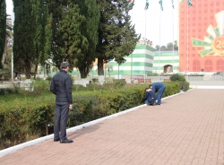 В ПАРКЕ СВОБОДЫ ВНОВЬ СВЕТЯТ ГРУНТОВЫЕ ПРОЖЕКТОРА