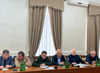 ЗАСЕДАНИЕ РАБОЧЕЙ ГРУППЫ ПО ВОЗМОЖНОМУ ТРАНЗИТУ ГРУЗОВ ЧЕРЕЗ ТЕРРИТОРИЮ АБХАЗИИ