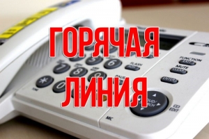 &laquo;ГОРЯЧУЮ ЛИНИЮ&raquo; МИНЗДРАВА АБХАЗИИ ПОДДЕРЖАЛИ ОБЩЕСТВЕННЫЕ ОРГАНИЗАЦИИ