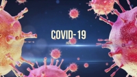 ЗА ДВОЕ СУТОК 150 ЧЕЛОВЕК С ПОДТВЕРЖДЕННЫМ ДИАГНОЗОМ COVID-19