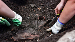 ПОДПИСАНО РАСПОРЯЖЕНИЕ &laquo;О НЕКОТОРЫХ МЕРАХ ПО ЗАЩИТЕ ИСТОРИКО-КУЛЬТУРНОГО НАСЛЕДИЯ РЕСПУБЛИКИ АБХАЗИЯ&raquo;