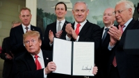 ТРАМП ПОДПИСАЛ ДОКУМЕНТ О ПРИЗНАНИИ СУВЕРЕНИТЕТА ИЗРАИЛЯ НАД ГОЛАНАМИ