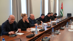 ЗАСЕДАНИЕ КОМИТЕТА ПО ГОСУДАРСТВЕННО-ПРАВОВОЙ ПОЛИТИКЕ