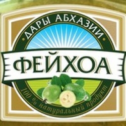 ЭЛЬДАР ШОХИН: НАШИ &laquo;ДАРЫ АБХАЗИИ&raquo; НИКАКОГО ОТНОШЕНИЯ К   ВЫСТАВКАМ-ЯРМАРКАМ ПОД ТАКИМ ЖЕ НАЗВАНИЕМ В РОССИИ  НЕ ИМЕЕТ НИКАКОГО ОТНОШЕНИЯ
