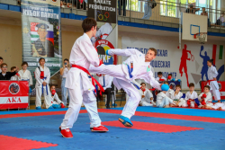 ОТКРЫТЫЙ РЕСПУБЛИКАНСКИЙ ТУРНИР ПО КАРАТЭ WKF &laquo;КУБОК ПАМЯТИ&raquo; ВИТАЛИЯ ВОЛЬФ