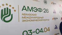 МИНИСТЕРСТВА ЭНЕРГЕТИКИ АБХАЗИИ И РОССИИ ПОДПИСАЛИ СОГЛАШЕНИЯ О СОТРУДНИЧЕСТВЕ