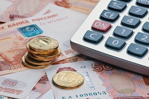 КАК ОПТИМИЗИРОВАТЬ  БЮДЖЕТНЫЕ  РАСХОДЫ?