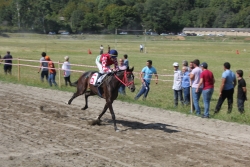 МЫРЗАБЕК КАППУШЕВ СТАЛ ПОБЕДИТЕЛЕМ В ТРЕХ ЗАБЕГАХ  МЕЖДУНАРОДНОГО  ТУРНИРА ПО КОННОМУ СПОРТУ &laquo;КУБОК ПРЕЗИДЕНТА РЕСПУБЛИКИ АБХАЗИЯ&raquo;