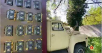 В ЛЕСНОМ МАССИВЕ ВЫЯВЛЕНА ДЕЙСТВУЮЩАЯ МАЙНИНГ-ФЕРМА