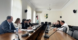 В ПАРЛАМЕНТЕ ОБСУДИЛИ ВОПРОСЫ ОПИСАНИЯ И ПОРЯДКА ИСПОЛЬЗОВАНИЯ ГОСУДАРСТВЕННОЙ СИМВОЛИКИ АБХАЗИИ