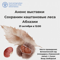 АНОНС ВЫСТАВКИ &laquo;СОХРАНИМ КАШТАНОВЫЕ ЛЕСА АБХАЗИИ&raquo;