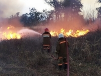 БОРЬБА С ПОЖАРАМИ ПРОДОЛЖАЕТСЯ