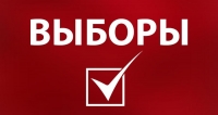 В ИЗБИРАТЕЛЬНЫХ БЮЛЛЕТЕНЯХ НА ПРЕДСТОЯЩИХ ПРЕЗИДЕНТСКИХ ВЫБОРАХ НЕ БУДЕТ ПЕЧАТАТЬСЯ КРАТКАЯ БИОГРАФИЯ КАНДИДАТОВ