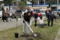 У НАЦИОНАЛЬНОЙ БИБЛИОТЕКИ ВЫСАЖЕНЫ 30 САЖЕНЦЕВ СИРЕНИ