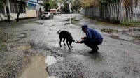 СПАСЛИ СОБАКУ