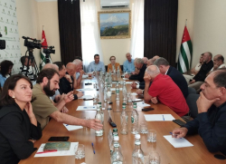 ПОЛИТИЧЕСКИЕ ПАРТИИ И ОБЩЕСТВЕННАЯ ПАЛАТА АБХАЗИИ ВЫСТУПАЮТ ЗА СМЕШАННУЮ СИСТЕМУ ПАРЛАМЕНТСКИХ ВЫБОРОВ
