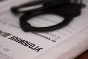 ВОЗБУЖДЕНО УГОЛОВНОЕ ДЕЛО ПО ФАКТАМ ПОХИЩЕНИЯ ВЯЧЕСЛАВА И РУСЛАНА ПАНЦУЛАЯ