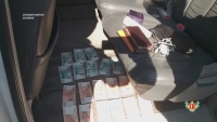 ПОДОЗРЕВАЕМЫЕ ЗАДЕРЖАНЫ