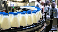 ПРЕДПРИЯТИЕ &laquo;МОЛОЧНЫЙ ДВОР&raquo; НАЧНЕТ ВЫПУСК ГОТОВОЙ МОЛОЧНОЙ ПРОДУКЦИИ