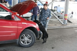 СРЕДИ НАРКОТИКОВ, КОТОРЫЕ ПЫТАЮТСЯ КОНТРАБАНДОЙ ПЕРЕВЕЗТИ В АБХАЗИЮ, ЛИДИРУЕТ МЕТАДОН