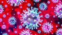 ВЫЯВЛЕН ЕЩЕ 41 ЧЕЛОВЕК С КОРОНАВИРУСНОЙ ИНФЕКЦИЕЙ