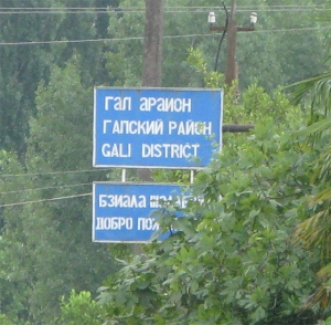 ЖИТЕЛИ ГАЛСКОГО РАЙОНА ДОЛЖНЫ БЫТЬ ИНТЕГРИРОВАНЫ ВО ВНУТРЕННЮЮ ЖИЗНЬ АБХАЗИИ, СЧИТАЮ ЧЛЕНЫ ОБЩЕСТВЕННОЙ ПАЛАТЫ