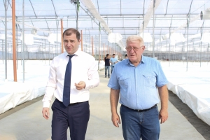 В НОВОМ КЫНДГСКОМ ТЕПЛИЧНОМ  КОМПЛЕКСЕ ПЕРВЫЙ УРОЖАЙ ОВОЩЕЙ ПЛАНИРУЮТ ПОЛУЧИТЬ В ЯНВАРЕ 2018 Г.