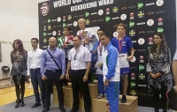 ЮНЫЙ КИКБОКСЕР ИЗ АБХАЗИИ  ЭНРИКЕ АРГУН ЗАВОЕВАЛ &laquo;ЗОЛОТО&raquo; КУБКА WORLD СUP DIAMOND - 2015