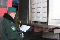 В РОССИЮ ИЗ РЕСПУБЛИКИ АБХАЗИЯ ИМПОРТИРОВАНО БОЛЕЕ 100 ТОНН ЦИТРУСОВЫХ