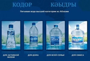 РАБОЧАЯ  ГРУППА МИНЭКОНОМИКИ ПО ПЕРВИЧНОМУ ОТБОРУ ИНВЕСТИЦИОННЫХ ПРОЕКТОВ ПОДДЕРЖАЛА ПРОЕКТЫ  "СУХУМСКОЙ  РИВЬЕРЫ" И  "АКВА-СЕРВИСА"